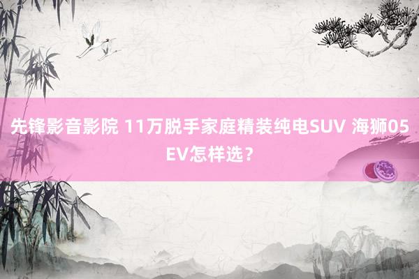 先锋影音影院 11万脱手家庭精装纯电SUV 海狮05EV怎样选？