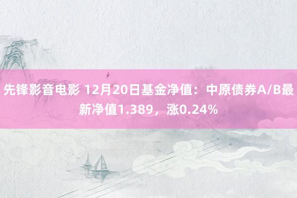 先锋影音电影 12月20日基金净值：中原债券A/B最新净值1.389，涨0.24%