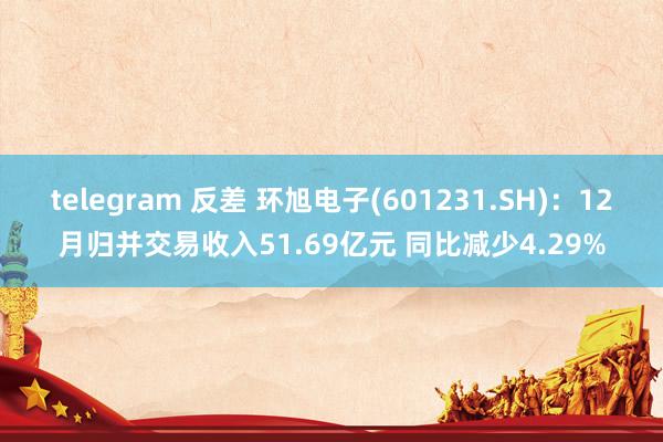 telegram 反差 环旭电子(601231.SH)：12月归并交易收入51.69亿元 同比减少4.29%