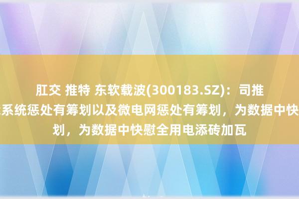 肛交 推特 东软载波(300183.SZ)：司推出完好意思的储能系统惩处有筹划以及微电网惩处有筹划，为数据中快慰全用电添砖加瓦