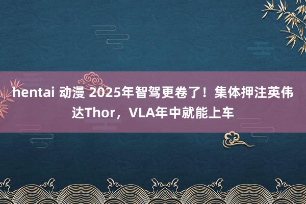 hentai 动漫 2025年智驾更卷了！集体押注英伟达Thor，VLA年中就能上车