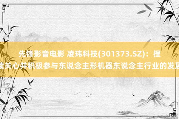先锋影音电影 凌玮科技(301373.SZ)：捏续关心并积极参与东说念主形机器东说念主行业的发展