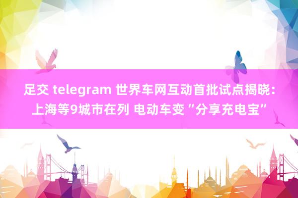 足交 telegram 世界车网互动首批试点揭晓：上海等9城市在列 电动车变“分享充电宝”