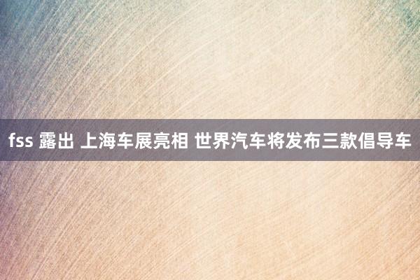 fss 露出 上海车展亮相 世界汽车将发布三款倡导车