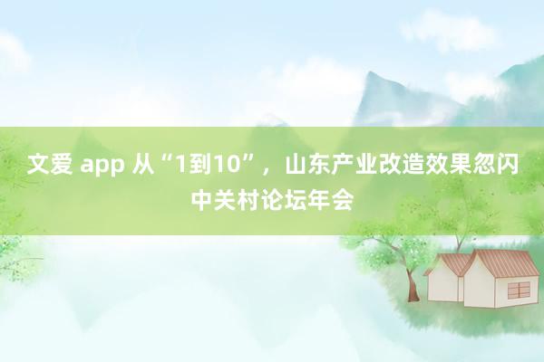 文爱 app 从“1到10”，山东产业改造效果忽闪中关村论坛年会