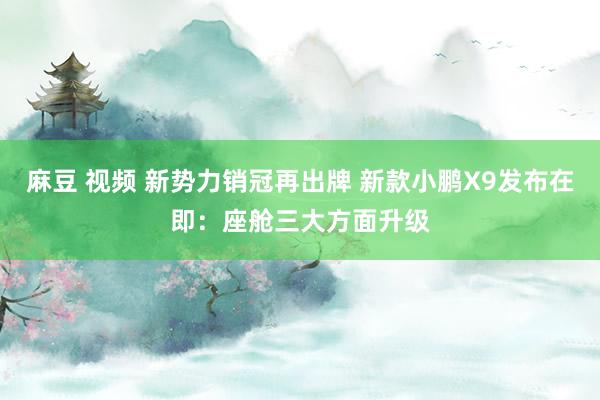 麻豆 视频 新势力销冠再出牌 新款小鹏X9发布在即：座舱三大方面升级