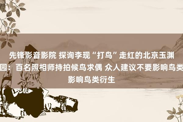 先锋影音影院 探询李现“打鸟”走红的北京玉渊潭公园：百名照相师持拍候鸟求偶 众人建议不要影响鸟类衍生