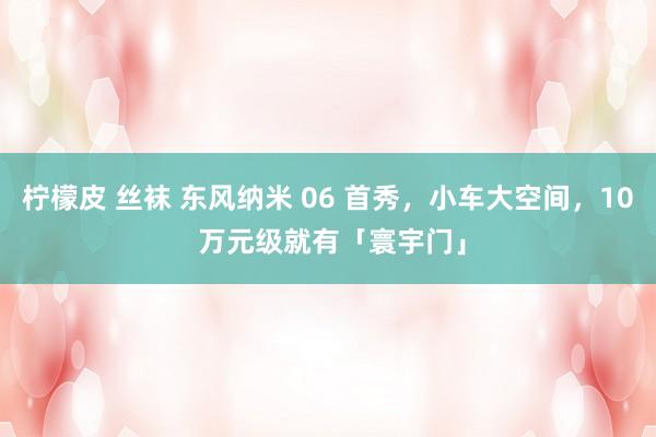 柠檬皮 丝袜 东风纳米 06 首秀，小车大空间，10 万元级就有「寰宇门」