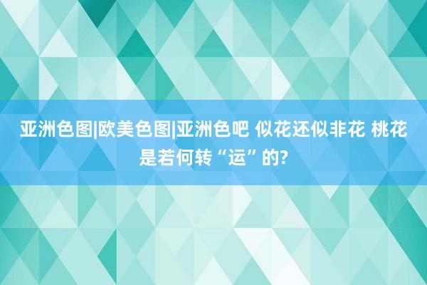 亚洲色图|欧美色图|亚洲色吧 似花还似非花 桃花是若何转“运”的?