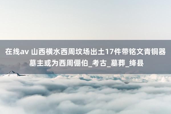 在线av 山西横水西周坟场出土17件带铭文青铜器 墓主或为西周倗伯_考古_墓葬_绛县